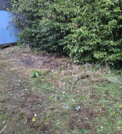 Clean Slate Hauling And Junk Removal