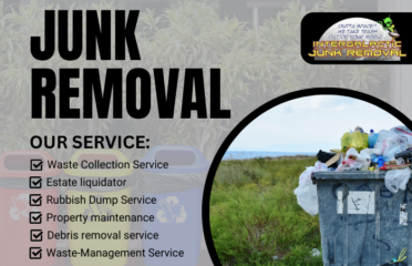 Intergalactic Junk Removal